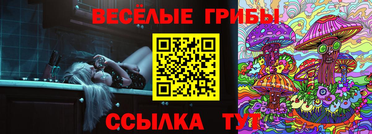 Галлюциногенные грибы прущие грибы  закладка  Грозный  Вход с VPN 